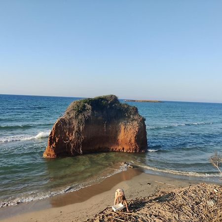 Apartament La Violetta Ostuni Zewnętrze zdjęcie