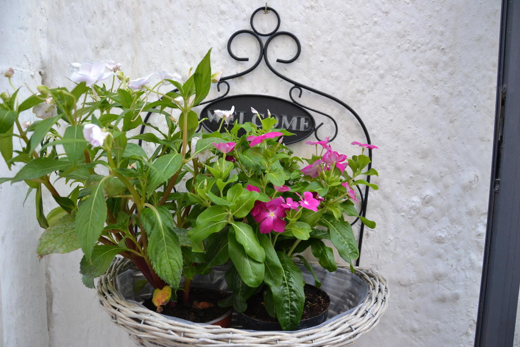 Apartament La Violetta Ostuni Pokój zdjęcie